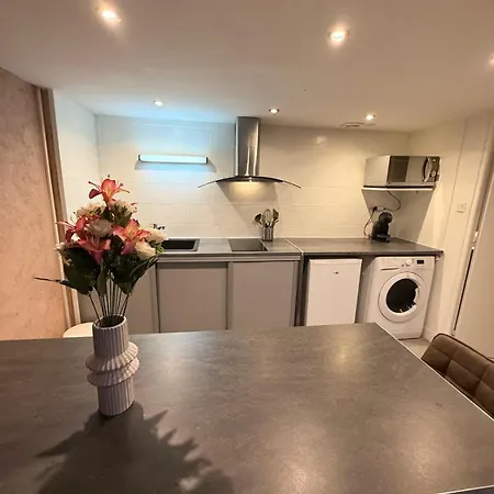 Apartment Bourgelat 1 1 Bedroom Bellecour Lyon